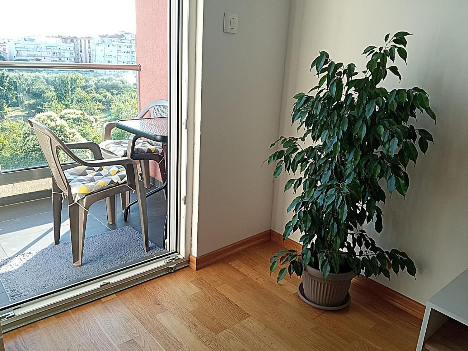 Renta Apartman Podgorica Ngoại thất bức ảnh